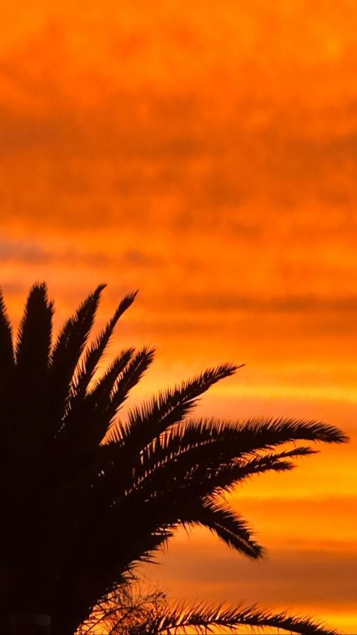 Ocean View With Large Terrace And Netflix Smart Tv * Costa Adeje (Tenerife)
